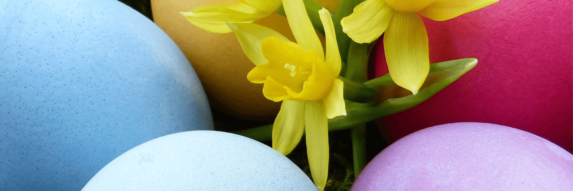 velikonoce_balicek_1920x640 (2).png