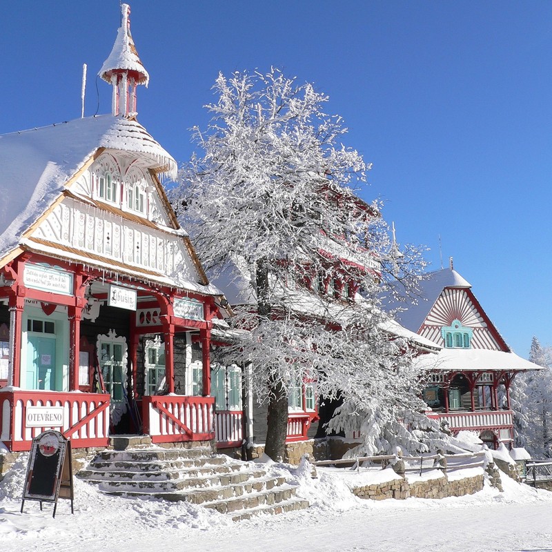 winter-2892225_1920.jpg