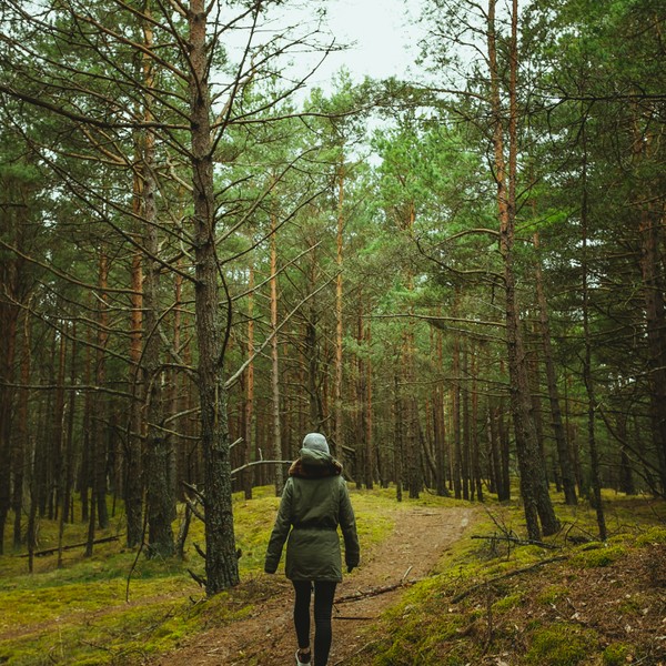 a href=httpswww.freepik.comfree-photovertical-shot-woman-walking-through-forest_14376540.htm#query=Forest%20eco-trail%20%C5%A0vagrov&position=0&from_view=search&track=aisImage b.jpg
