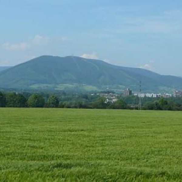 24-500-javorovy-vrch.jpg